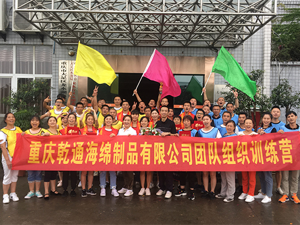 团队拓展训练 培训