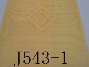 J543-1